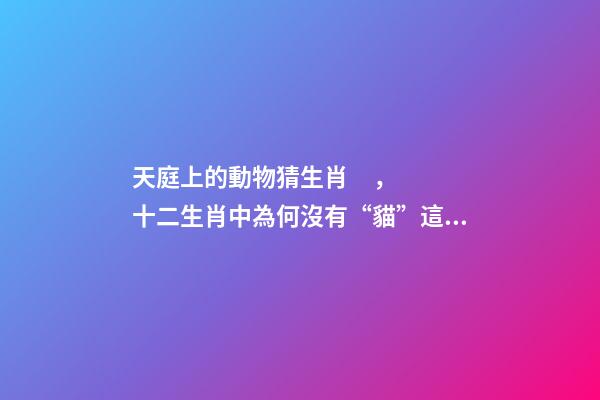 天庭上的動物猜生肖，十二生肖中為何沒有“貓”這一屬相